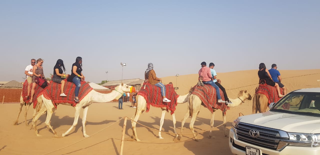  Sand boarding and Camel Riding: Embracing the Desert Safari in Dubai, UAE