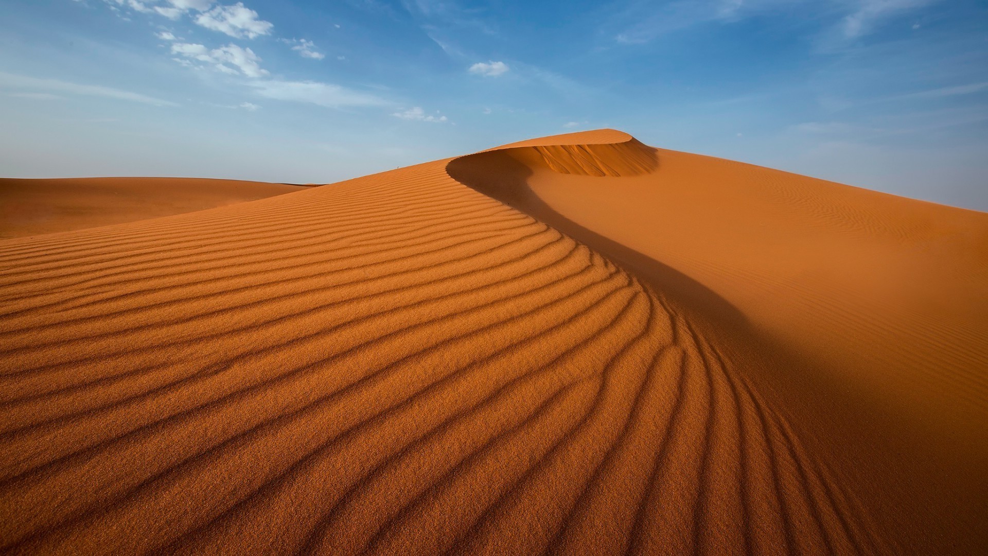 Ecological Significance of Sand Dunes 