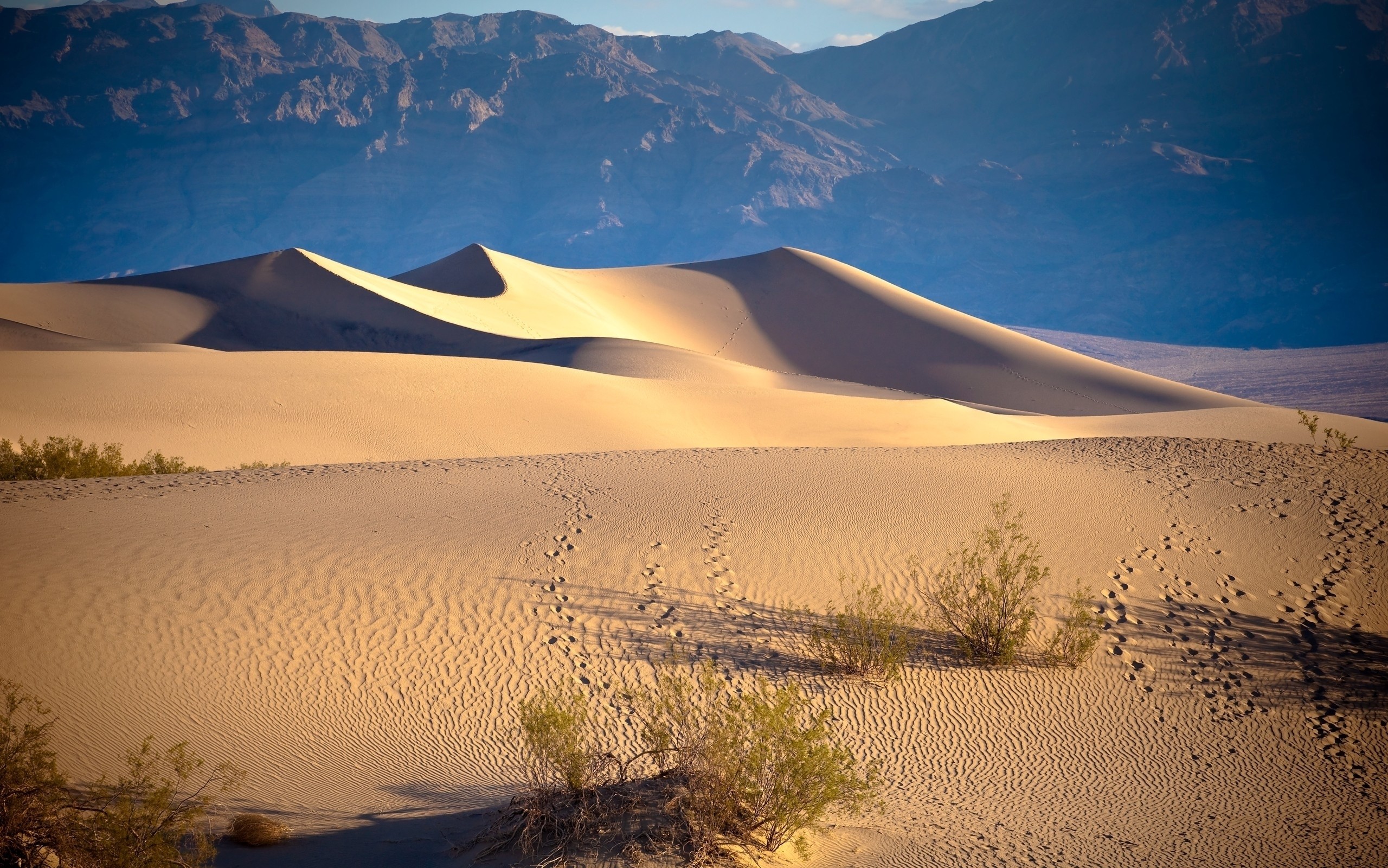 Formation of Sand Dunes 