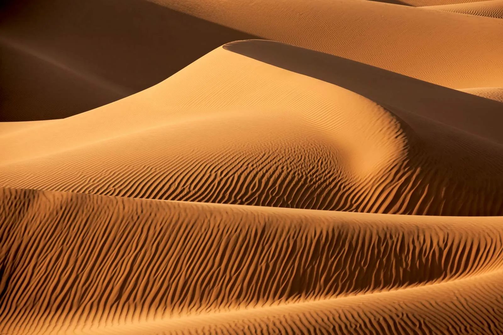 Sand Dunes