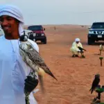 Falconry