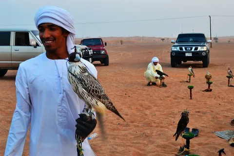 Falconry