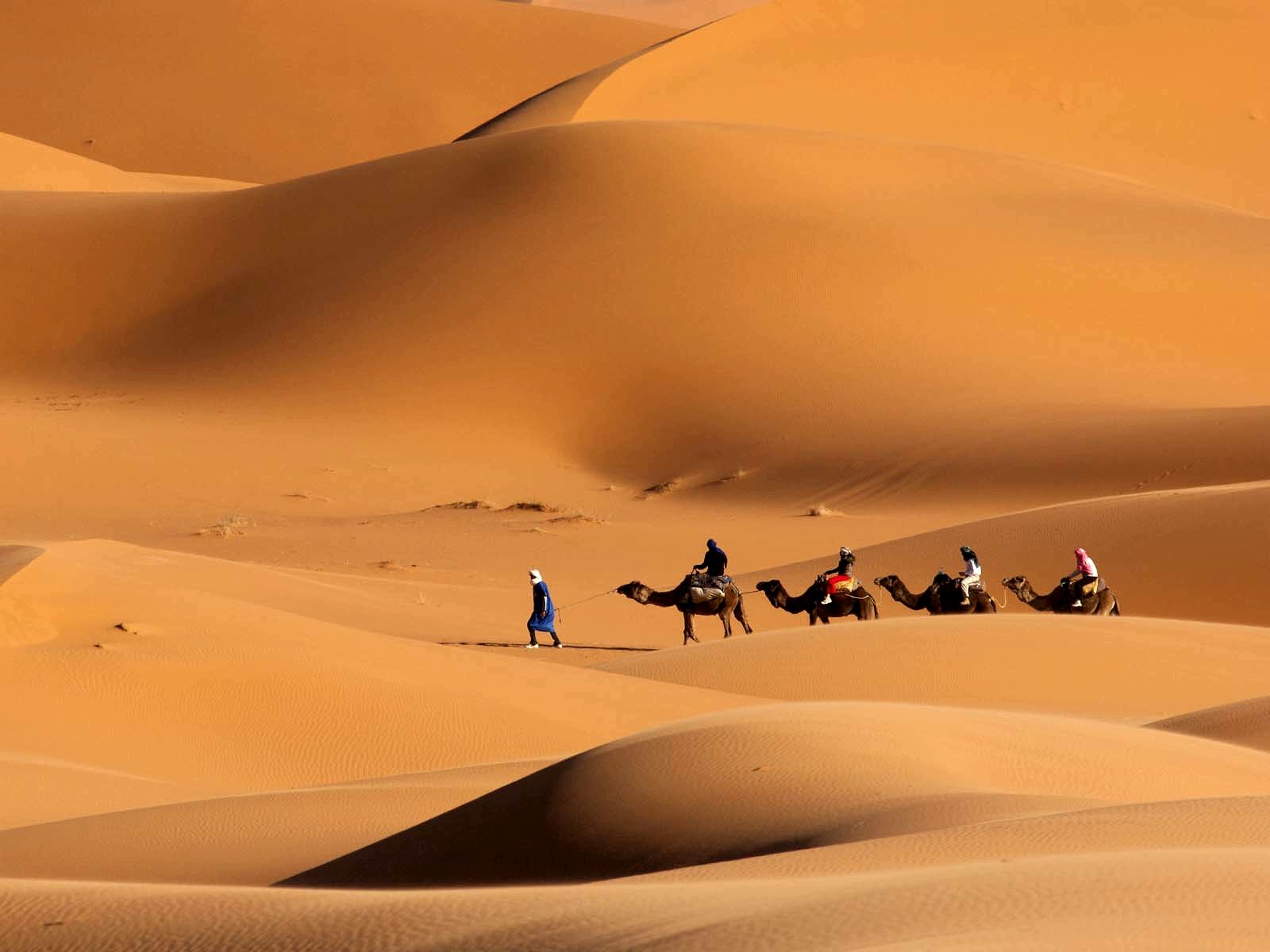 Adventure Activities in the Arabian Desert