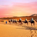 Arabian Desert Experience