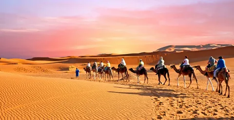 Arabian Desert Experience