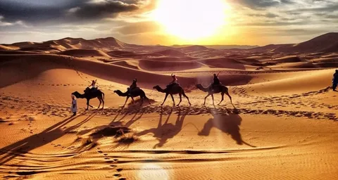 The Majesty of the Arabian Desert